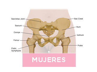 Mujer Salud Pelvica