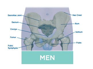 Men Pelvic Health