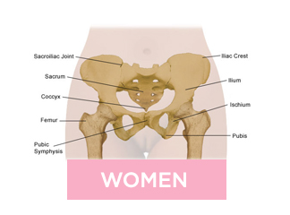 Women Pelvic Health