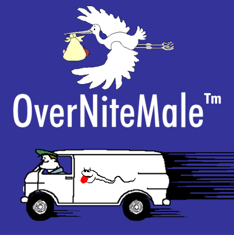 Over Nite Male