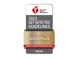 Stroke Center Gold Plus 2021