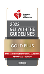 Get With The Guidelines®–Target: Stroke Honor Roll Elite Plus and Advanced Therapy