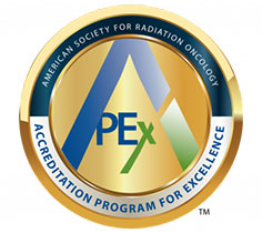 APEX logo